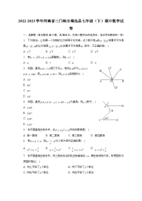 2022-2023学年河南省三门峡市渑池县七年级（下）期中数学试卷（含解析）