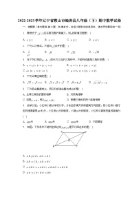 2022-2023学年辽宁省鞍山市岫岩县八年级（下）期中数学试卷（含解析）