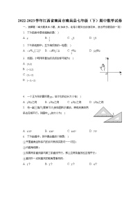 2022-2023学年江西省南昌市南昌县七年级（下）期中数学试卷（含解析）