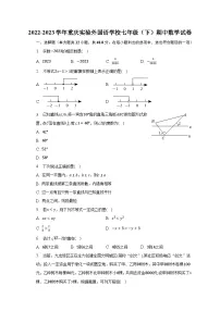 2022-2023学年重庆实验外国语学校七年级（下）期中数学试卷（含解析）