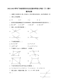 2022-2023学年广东省深圳市宝安区振兴学校七年级（下）期中数学试卷（含解析）