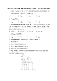 2022-2023学年河南省南阳市邓州市八年级（下）期中数学试卷（含解析）