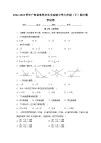 2022-2023学年广东省东莞市长安实验中学七年级（下）期中数学试卷（含解析）