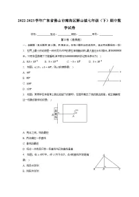 2022-2023学年广东省佛山市南海区狮山镇七年级(下)期中数学试卷(含解析)