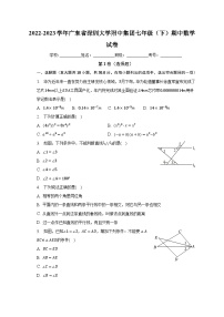 2022-2023学年广东省深圳大学附中集团七年级（下）期中数学试卷（含解析）