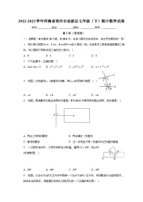 2022-2023学年河南省郑州市高新区七年级（下）期中数学试卷（含解析）