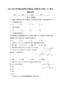 2022-2023学年湖北省武汉市武昌区七校联考七年级（下）期中数学试卷(含解析）