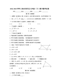 2022-2023学年上海市闵行区七年级（下）期中数学试卷（含解析）