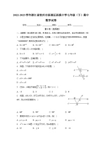 2022-2023学年浙江省杭州市西湖区西溪中学七年级（下）期中数学试卷（含解析）