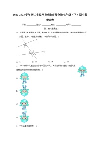 2022-2023学年浙江省温州市瑞安市部分校七年级（下）期中数学试卷（含解析）