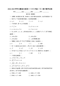 2022-2023学年安徽省合肥四十二中八年级（下）期中数学试卷（含解析）