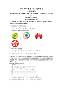 2023年四川省攀枝花市东区中考二模数学试题