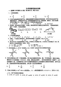 安徽合肥市45中2023届九年级中考三模数学试卷+答案