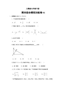 2022-2023学年初中七年级数学下学期期末综合模拟训练卷01（人教版）（含参考答案）