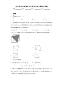 2023年山东省德州市平原县中考一模数学试题（含答案解析）