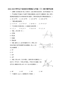 2022-2023学年辽宁省沈阳市浑南区七年级（下）期中数学试卷（含解析）