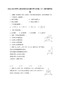 2022-2023学年上海市闵行区文绮中学七年级（下）期中数学试卷（含解析）