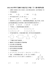 2022-2023学年广西南宁市经开区八年级（下）期中数学试卷（含解析）