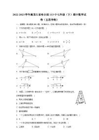 2022-2023学年黑龙江省哈尔滨113中七年级（下）期中数学试卷（五四学制）（含解析）