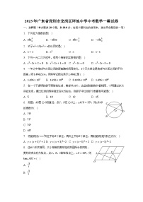 2023年广东省深圳市龙岗区坪地中学中考数学一模试卷（含解析）