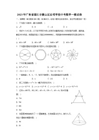 2023年广东省湛江市霞山区启明学校中考数学一模试卷（含解析）