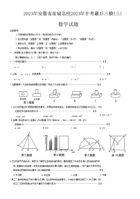 2023年安徽省省城名校中考最后三模（三）数学试卷（含答案）