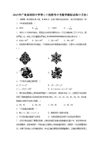 2023年广东省深圳中学等三十校联考中考数学模拟试卷(含答案)