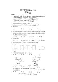 2023年安徽省合肥市蜀山区中考三模数学试题