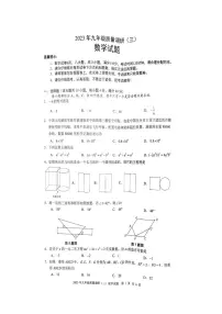 2023年安徽省合肥市蜀山区中考三模数学试题