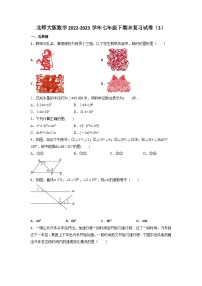 2022-2023学年北师大版数学七年级下册期末复习试卷（3）