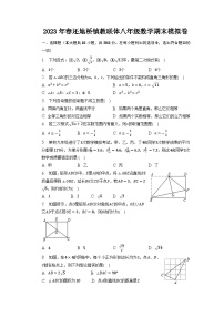 湖北省黄石市大冶市还地桥镇教联体2022-2023学年八年级下学期期末模拟数学试卷