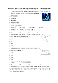 2022-2023学年江苏省扬州市仪征市七年级（下）期中数学试卷（含解析）