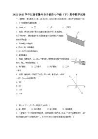 2022-2023学年江西省赣州市于都县七年级（下）期中数学试卷（含解析）