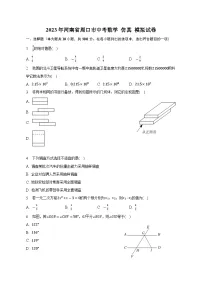 2023年河南省周口市中考数学+仿真+模拟试卷（含答案）