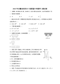 2023年安徽省阜阳市十校联盟中考数学三模试卷（含解析）