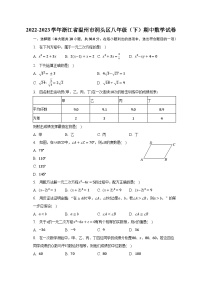 2022-2023学年浙江省温州市洞头区八年级（下）期中数学试卷（含解析）