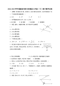 2022-2023学年福建省龙岩市连城县七年级（下）期中数学试卷-普通用卷