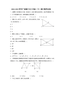 2022-2023学年广西南宁市八年级(下)期中数学试卷(含解析)