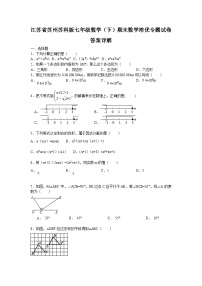 江苏省苏州苏科版七年级数学（下）期末数学培优专题试卷答案详解（C）