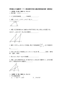 苏科版七年级数学（下）期末培优试卷答案详解（解析版）（2）