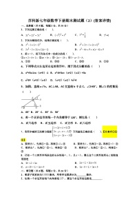 苏科版七年级数学下册期末测试题（2）(答案详情)