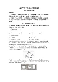 2023年山东省枣庄市市中区中考三模数学试题