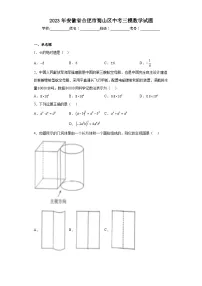 2023年安徽省合肥市蜀山区中考三模数学试题(含答案)