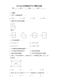 2023年山东省聊城市中考三模数学试题(含答案)