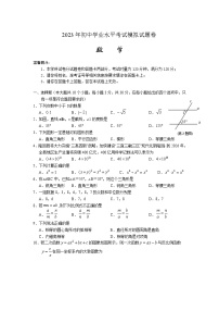 2023年湖南省邵阳市隆回县初中学业水平考试模拟（二模）数学试题