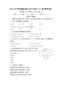 2022-2023学年新疆乌鲁木齐市八年级（下）期中数学试卷（含解析）