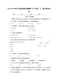 2022-2023学年云南省曲靖市麒麟六中八年级（下）期中数学试卷（含解析）