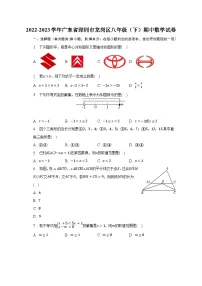2022-2023学年广东省深圳市龙岗区八年级（下）期中数学试卷-普通用卷
