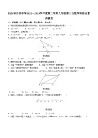 2023年广东省汕头经济特区林百欣中学中考三模数学试题（含答案）