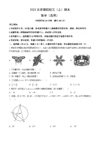 2023北京朝阳初三（上）期末数学（教师版）